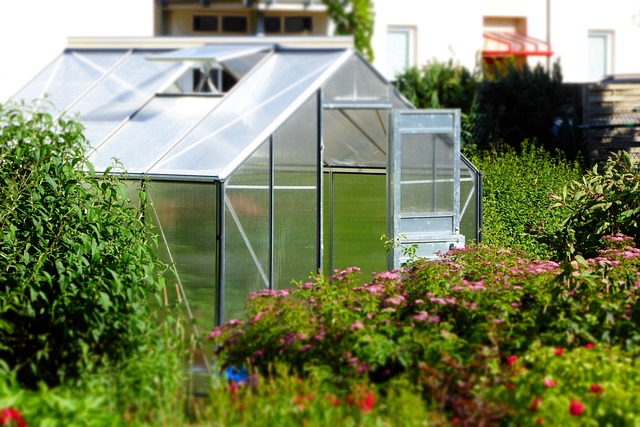 Purchase Your Natural Future: Look through Greenhouses on the market Today