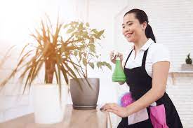 The Role of Companies in Prospecting Foreign Domestic Helpers