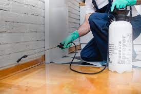 Comprehensive Pest Control Services in Las Vegas