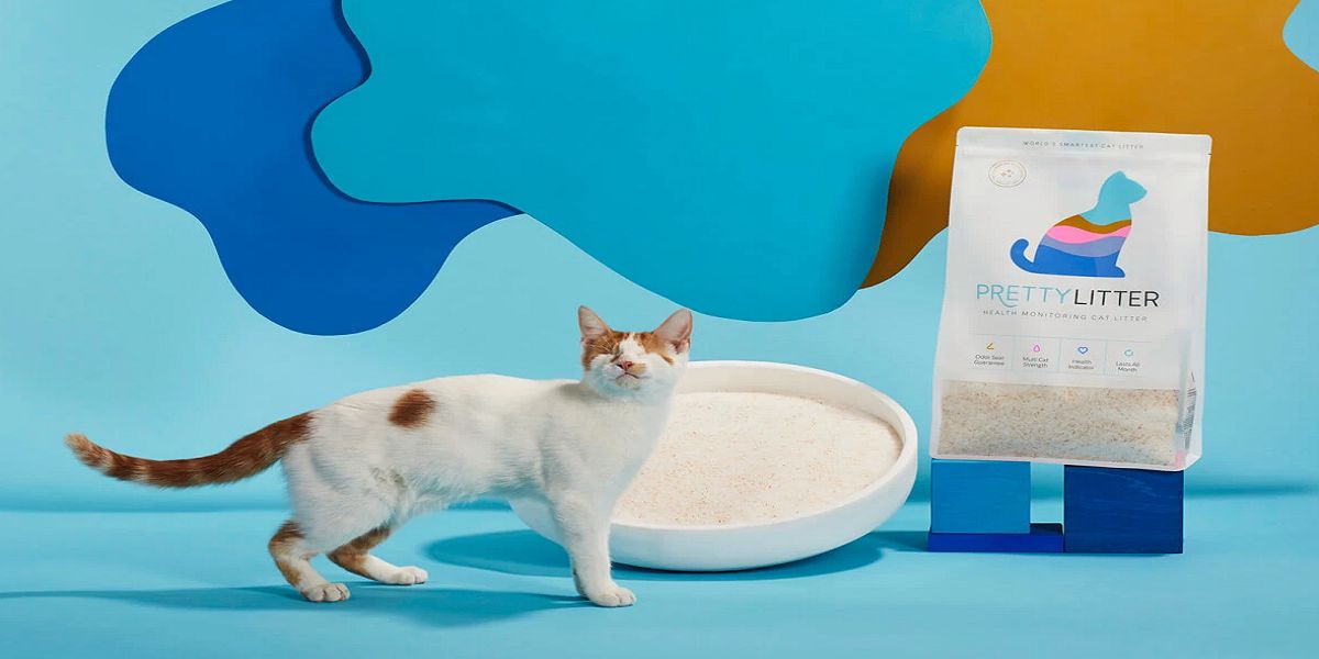 Is PrettyLitter Safe for Your Feline Friend? A Closer Look
