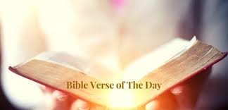 Heartfelt Moments: Today’s Daily Bible Verse Reflection