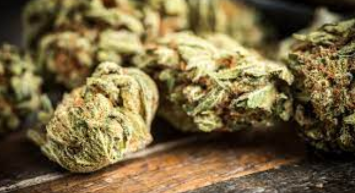Trippy Wizard Weed Delivery: Seamless Access to Quality Products