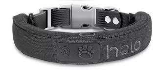 Elevate Your Dog’s Comfort and Security with the Halo Dog Collar