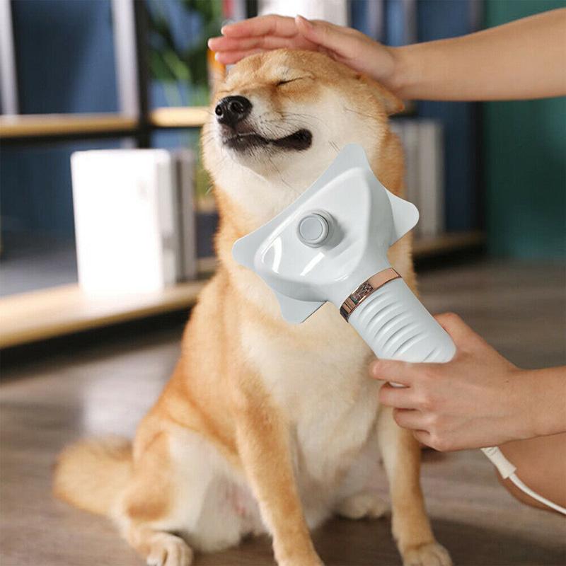 Paws and Dried out: A Thorough Help guide Finding the right Dog Grooming Dryer
