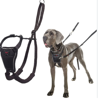 Top Good reasons to Go with a Custom Dog Harness