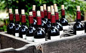 Rossato Wine Revelry: Italian Splendor in a Box