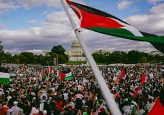 Amplifying the Call: American Muslims’ Commitment to Palestine