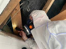 Ensuring Asbestos Safety: The Role of Professional Surveys in Property Management