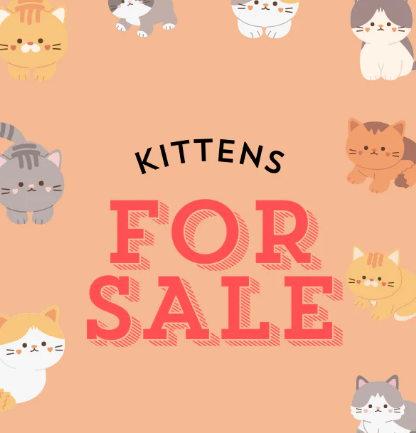 Convenience and Care Visiting Your Local Pet Store