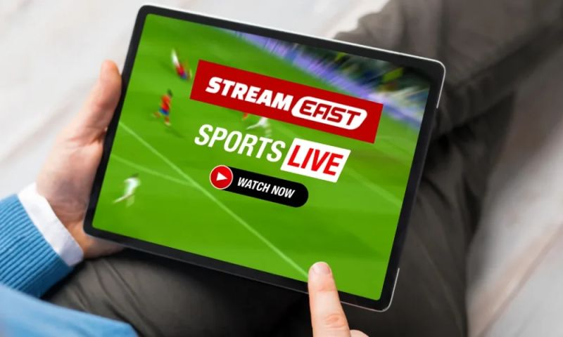 MMA Streams: Catch Every Fight Live and Free