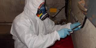 The Role of Technology in Modern Asbestos Surveys